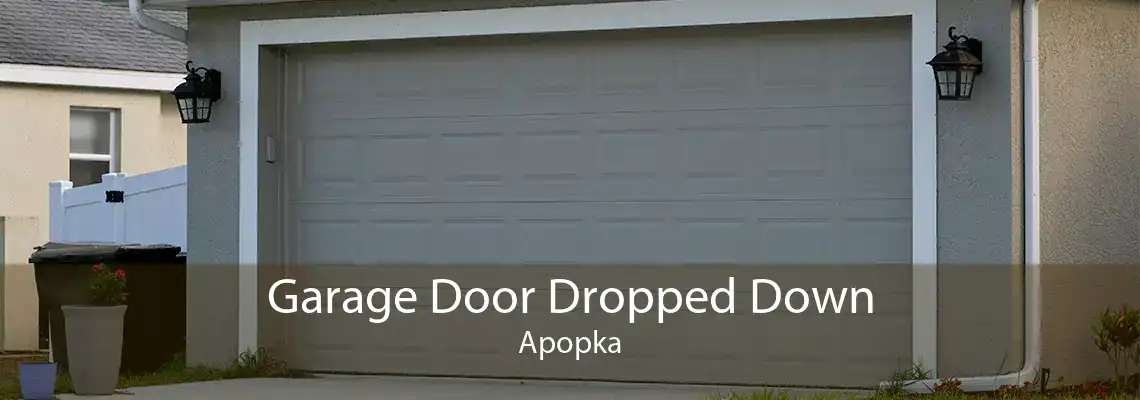Garage Door Dropped Down Apopka